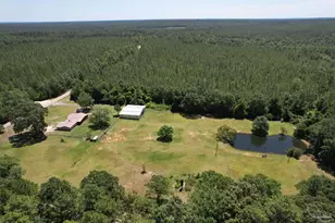 9353 Sellersville Rd, Jay, FL 32565 - Photo 14