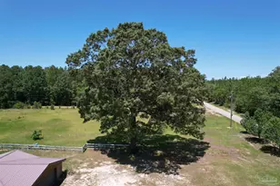 9353 Sellersville Rd, Jay, FL 32565 - Photo 4