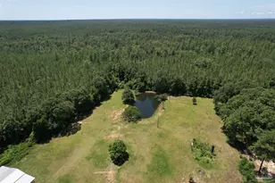 9353 Sellersville Rd, Jay, FL 32565 - Photo 24