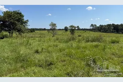 5880 S Hwy 99, McDavid, FL 32568 - Photo 4