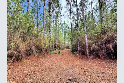 Parcel C Killian Dr, Jay, FL 32565 - Photo 18