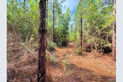 Parcel C Killian Dr, Jay, FL 32565 - Photo 14