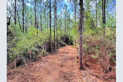 Parcel C Killian Dr, Jay, FL 32565 - Photo 12