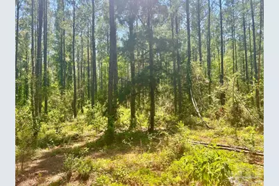 Parcel 4-Rs Hwy 182, Jay, FL 32565 - Photo 16