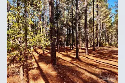 Parcel 4-Rs Hwy 182, Jay, FL 32565 - Photo 8