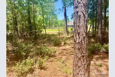 Parcel 4-Rs Hwy 182, Jay, FL 32565 - Photo 10