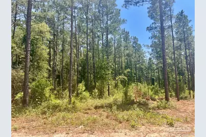 Parcel 4-Rs Hwy 182, Jay, FL 32565 - Photo 12