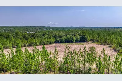 Lot 8 SW Waterfall St, Pace, FL 32571 - Photo 6