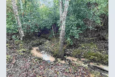 Lot 8 SW Waterfall St, Pace, FL 32571 - Photo 20