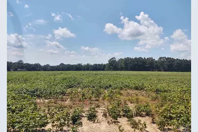 7264 Springhill Rd, Milton, FL 32570 - Photo 6