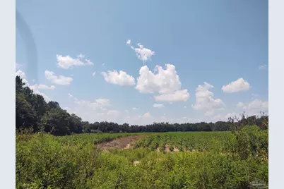 7264 Springhill Rd, Milton, FL 32570 - Photo 2