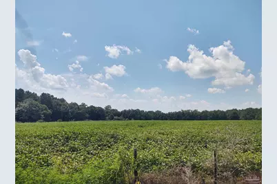 7264 Springhill Rd, Milton, FL 32570 - Photo 4