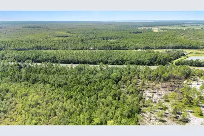 S Hwy 87, Milton, FL 32583 - Photo 4