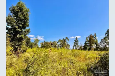 Lot 6C Cotton Lake Rd, Molino, FL 32577 - Photo 14