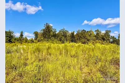 Lot 6C Cotton Lake Rd, Molino, FL 32577 - Photo 8