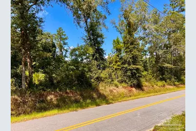 Lot 6C Cotton Lake Rd, Molino, FL 32577 - Photo 2