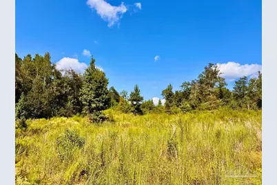 Lot 6C Cotton Lake Rd, Molino, FL 32577 - Photo 12