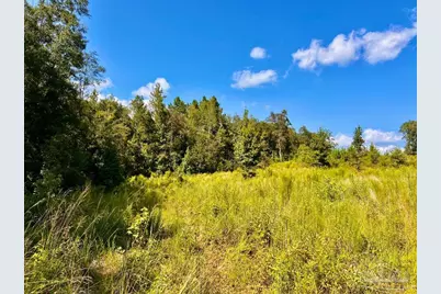 Lot 6C Cotton Lake Rd, Molino, FL 32577 - Photo 10