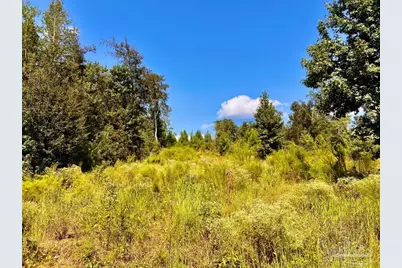 Lot 6C Cotton Lake Rd, Molino, FL 32577 - Photo 16