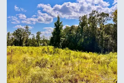 Lot 6C Cotton Lake Rd, Molino, FL 32577 - Photo 22
