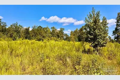 Lot 6C Cotton Lake Rd, Molino, FL 32577 - Photo 1