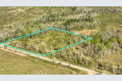 Lot 6C Cotton Lake Rd, Molino, FL 32577 - Photo 4