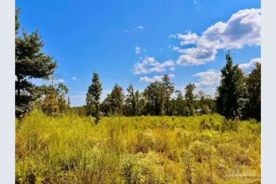 Lot 6C Cotton Lake Rd, Molino, FL 32577 - Photo 18