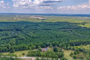 31079 US Hwy 90, Seminole, AL 36574 - Photo 54
