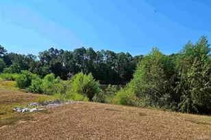 295 W Kingfield Rd, Cantonment, FL 32533 - Photo 32