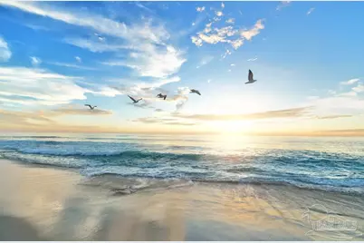 1 Calle Traviesa, Pensacola Beach, FL 32561 - Photo 14