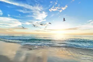 1 Calle Traviesa, Pensacola Beach, FL 32561 - Photo 14