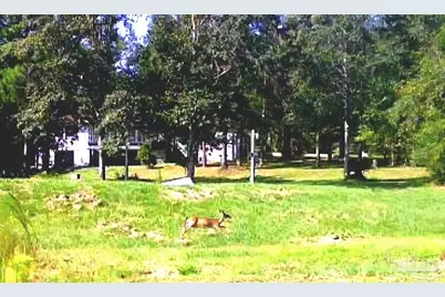 2181 Windham Dr, Molino, FL 32577 - Photo 66