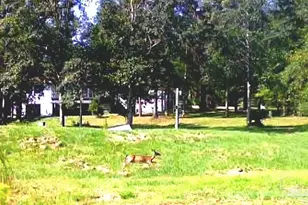 2181 Windham Dr, Molino, FL 32577 - Photo 66