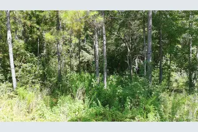 3457 Argyle Dr, Pace, FL 32571 - Photo 8