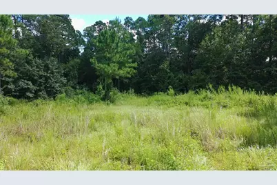 3453 Argyle Dr, Pace, FL 32571 - Photo 6