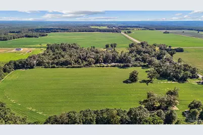 12060 N Hwy 87, Jay, FL 32570 - Photo 6