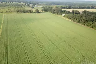 16+ Acres N Hwy 87, Milton, FL 32570 - Photo 1