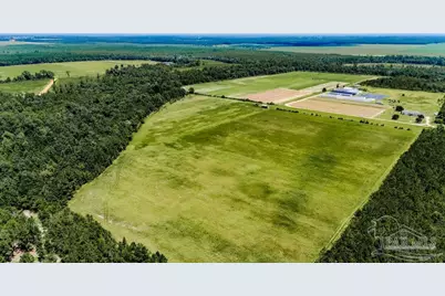 Lot 2 Hwy 182, Jay, FL 32565 - Photo 4