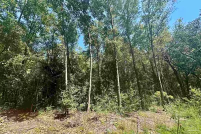0000 Legend Creek Dr, Pace, FL 32571 - Photo 12