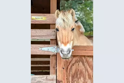 1911 Mathison Rd, Cantonment, FL 32533 - Photo 4