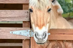 1911 Mathison Rd, Cantonment, FL 32533 - Photo 8