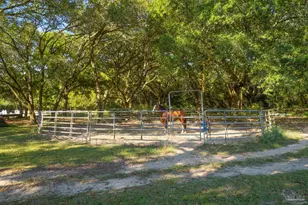 1911 Mathison Rd, Cantonment, FL 32533 - Photo 56