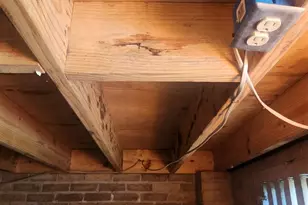 301 Homeland Ave, Cantonment, FL 32533 - Photo 4