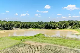 4649A Preacher Ln, Jay, FL 32565 - Photo 10