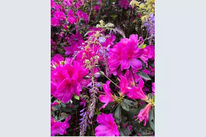 5055 Serry Ln, Pace, FL 32571 - Photo 24