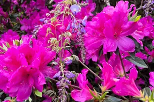 5055 Serry Ln, Pace, FL 32571 - Photo 24