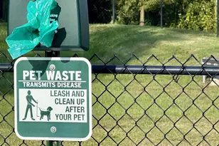 16104 Innerarity Point Rd, Pensacola, FL 32507 - Photo 34