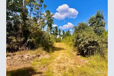 Lot 1 Morgans Branch, Molino, FL 32577 - Photo 14