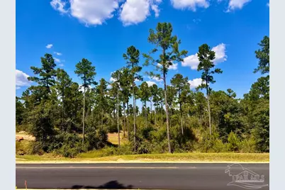 Lot 1 Morgans Branch, Molino, FL 32577 - Photo 2