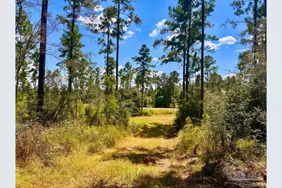 Lot 1 Morgans Branch, Molino, FL 32577 - Photo 16